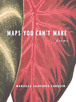 cover image of Maps You Can't Make